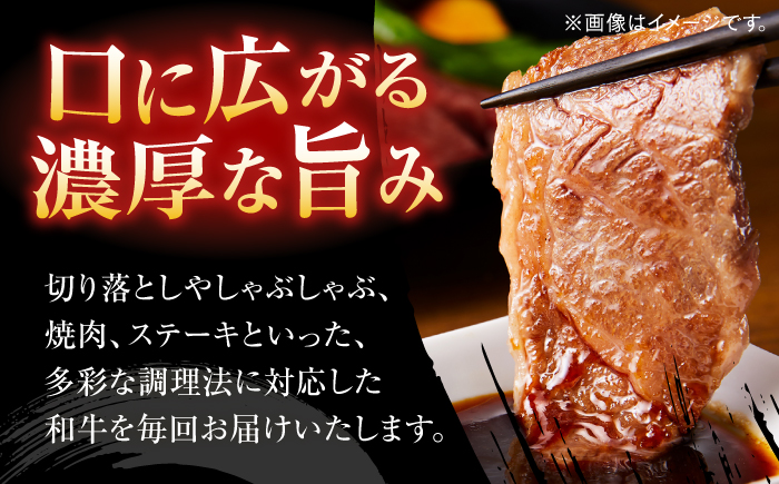 博多和牛　厳選定期便全6回＜一般社団法人地域商社ふるさぽ＞ 那珂川市 [GBX186]
