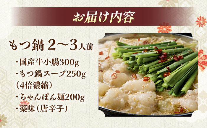 【游來】もつ鍋2～3人前セット＜一般社団法人地域商社ふるさぽ＞ 那珂川市 [GBX239]