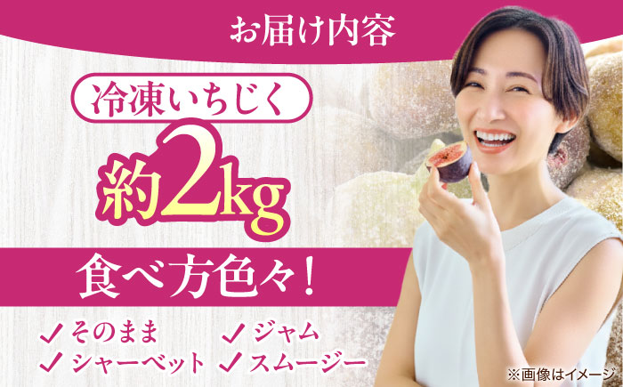 冷凍いちじく（とよみつひめ）約２kg＜一般社団法人地域商社ふるさぽ＞ 那珂川市 [GBX253]
