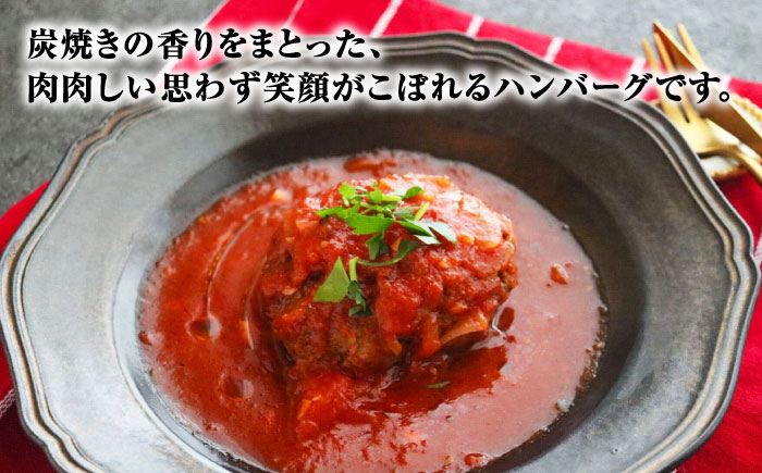 炭焼き国産ハンバーグ(トマトソース)230g×5個＜PUNTO MARE＞那珂川市 [GCB004]