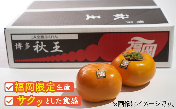 【10月中旬より発送】先行予約 福岡産ブランド 柿 秋王 約1.5kg（4-6玉）＜南国フルーツ株式会社＞那珂川市 [GCD021]