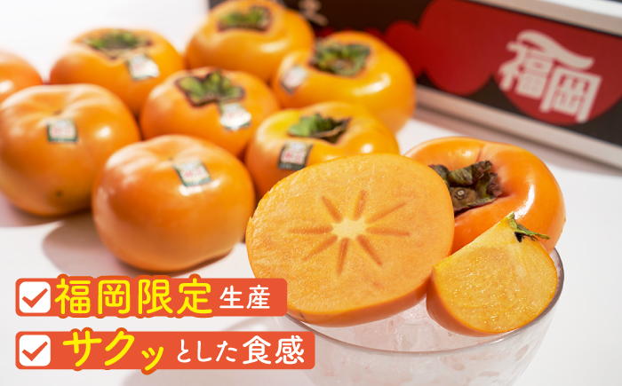 【10月中旬より発送】先行予約 福岡産ブランド 柿 秋王 約3kg（8-12玉）＜南国フルーツ株式会社＞那珂川市 [GCD022]