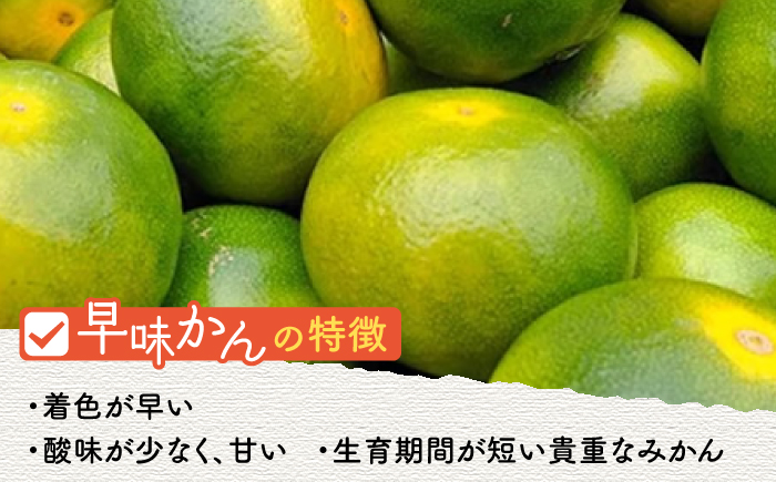 【9月中旬より発送】先行予約 福岡産ブランド みかん 早味かん 約2kg＜南国フルーツ株式会社＞那珂川市 [GCD023]