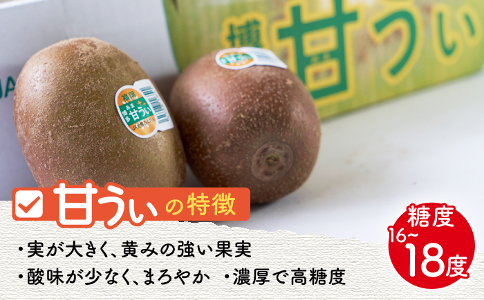 【10月下旬より発送】先行予約 福岡産ブランド キウイ 甘うぃ 約1.5kg（12-15玉）＜南国フルーツ株式会社＞那珂川市 [GCD025]