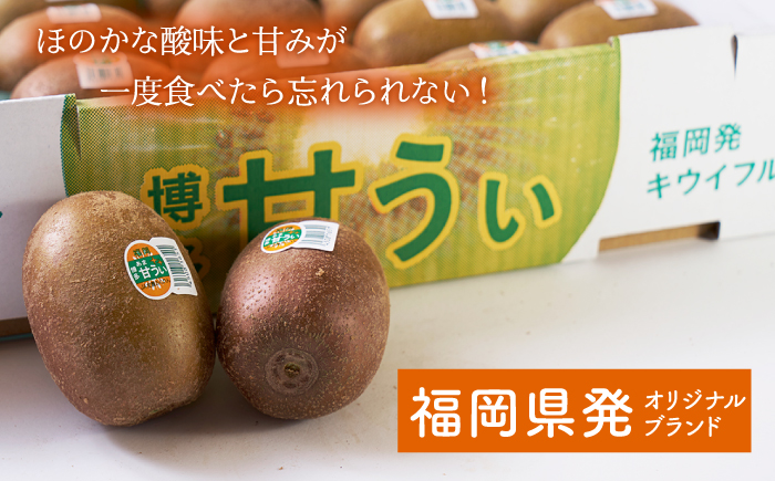 【10月下旬より発送】先行予約 福岡産ブランド キウイ 甘うぃ 約3kg（24-33玉）＜南国フルーツ株式会社＞那珂川市 [GCD026]