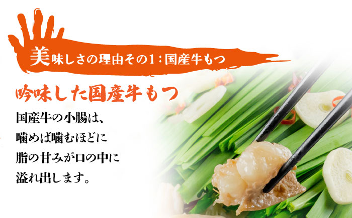 【自宅で楽しむ本場の味】九州名物 とめ手羽 博多 もつ鍋 味噌味 5-6人前＜株式会社フェリックス＞那珂川市 鍋 もつ鍋 味噌味 [GCE002]