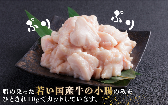 【年内発送】【年間100万食販売！】博多もつ鍋おおやま もつ鍋 醤油味 4人前＜株式会社ラブ＞那珂川市 [GDQ003]