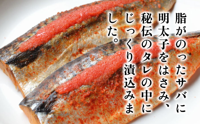 さば明太6枚 秘伝の辛子明太子液たれ仕込み＜株式会社マル五＞那珂川市 明太加工 [GDW012]