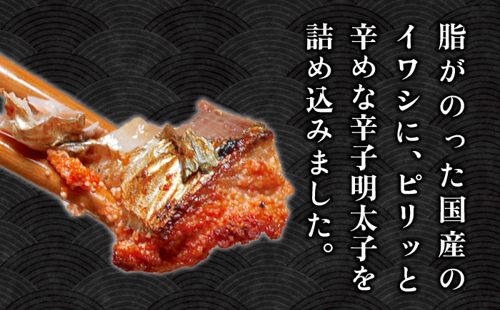 ピリ辛 いわし明太20尾＜株式会社マル五＞那珂川市 明太加工 [GDW015]