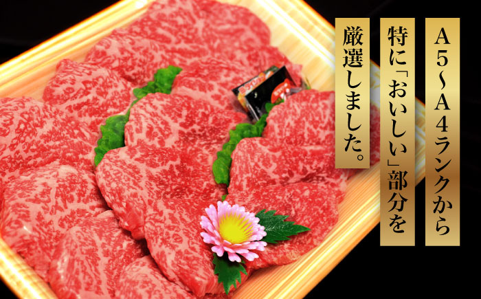 【化粧箱入】博多和牛A5～A4 モモ赤身 ミニステーキ350g ソース・塩胡椒付＜株式会社マル五＞那珂川市 [GDW024]