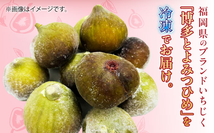福岡県産「博多とよみつひめ」冷凍いちじく！500g×1袋＜株式会社natural factory＞那珂川市 フルーツ とよみつひめ [GEA079]