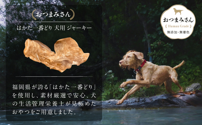 犬用 ジャーキー 博多一番どり 【ささみ】6袋セット＜うちの子 お元気堂＞那珂川市 [GEK004]