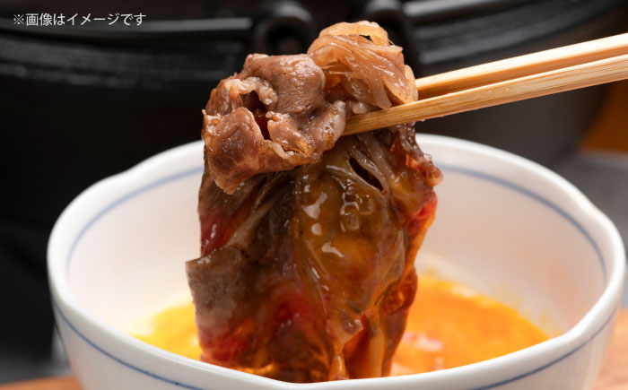 A5/A4等級　博多和牛 リブローススライス(すき焼き用)2～3人前 約500g＜株式会社ヌルボン＞那珂川市 [GEU001]