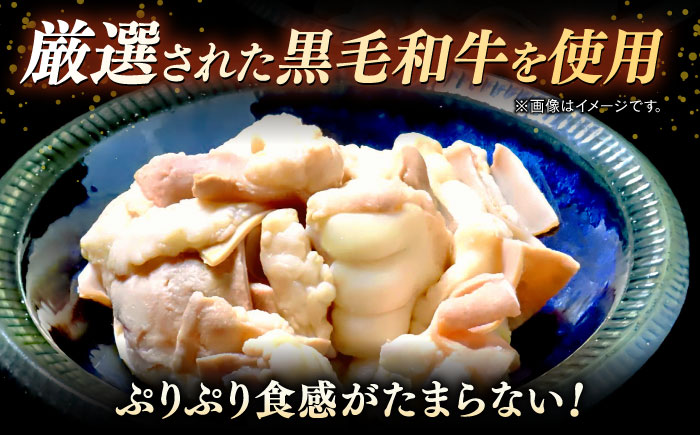 黒毛和牛もつ鍋 6～8人前（醤油ベース）～あご出汁・白濁鶏ガラスープ～＜KRAZY MEAT＞ 那珂川市 [GFQ062]