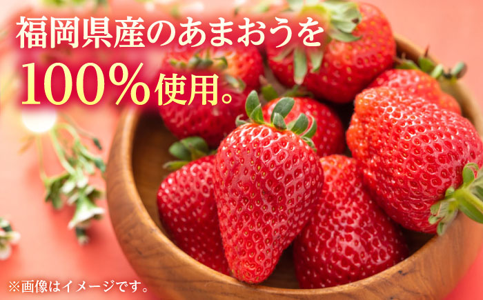 福岡県産 冷凍あまおう500g(250g×2個) ＜木村食品＞ 那珂川市 [GFR034]