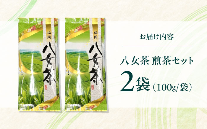 八女茶　煎茶セット　100g×2袋 ＜木村食品＞ 那珂川市 [GFW061]
