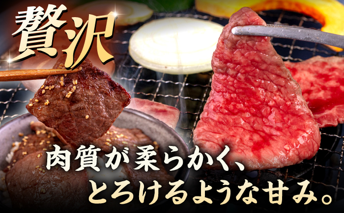 【A4～A5 等級】博多和牛 モモ 焼肉用 600g ＜ヒサダヤフーズ＞那珂川市 [GFY033]