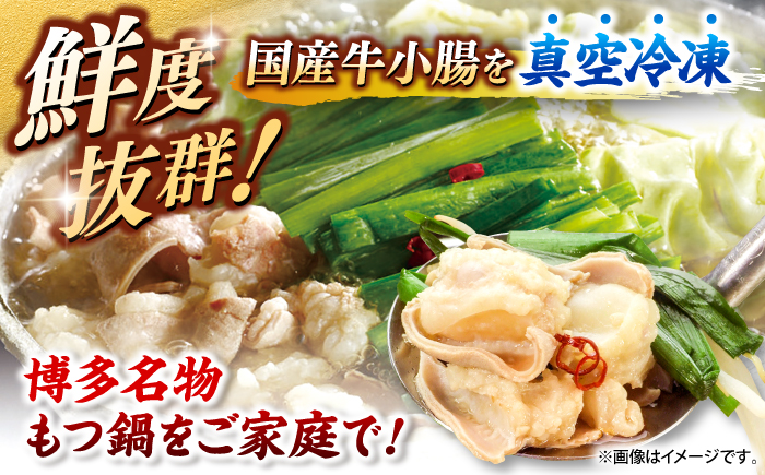 博多もつ鍋セット 3人前 ＜ヒサダヤフーズ＞那珂川市  鍋 もつ鍋 [GFY071]