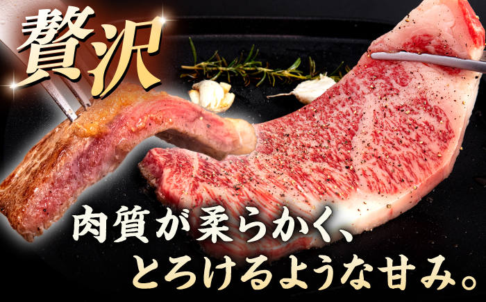 【全6回定期便】【A4/A5等級】博多和牛 サーロイン ステーキ 200g×3枚 ＜ヒサダヤフーズ＞那珂川市  黒毛和牛 牛肉 ステーキ肉 [GFY073]