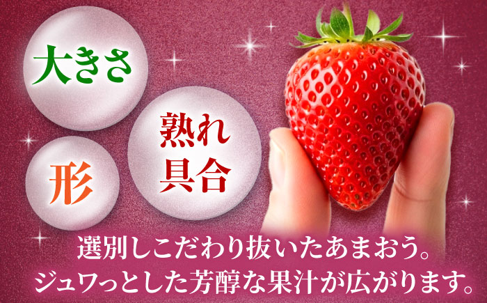 【2025年12月より発送】『自然環境農法』で育てた福岡県産 あまおう 約285g×2パック＜おおきベリー株式会社＞那珂川市 [GZE007]