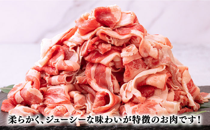 博多和牛 切り落とし 約1200g（300g×4p）＜株式会社くしだ企画＞那珂川市 [GZI001]