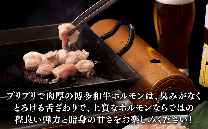 博多和牛 ホルモン 500g 焼肉 もつ鍋用＜株式会社くしだ企画＞那珂川市 [GZI010]