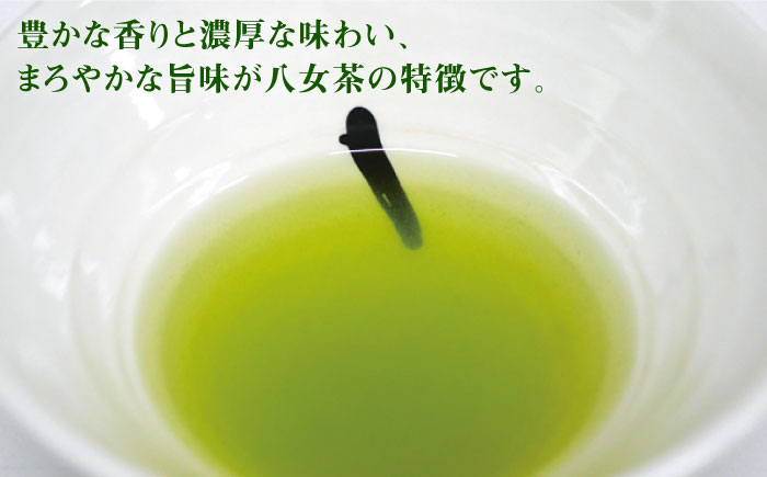 【全6回定期便】八女茶10袋（1kg）セット＜お茶の星陽園 ＞那珂川市 飲料 お茶 茶 [GAD009]