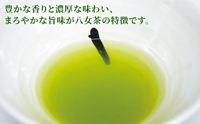 【日常に寄り添う豊かな香り】福岡県産 八女煎茶  ティーバッグ（上煎茶・ほうじ茶）詰合せ＜お茶の星陽園＞那珂川市 飲料 お茶 茶 [GAD015]