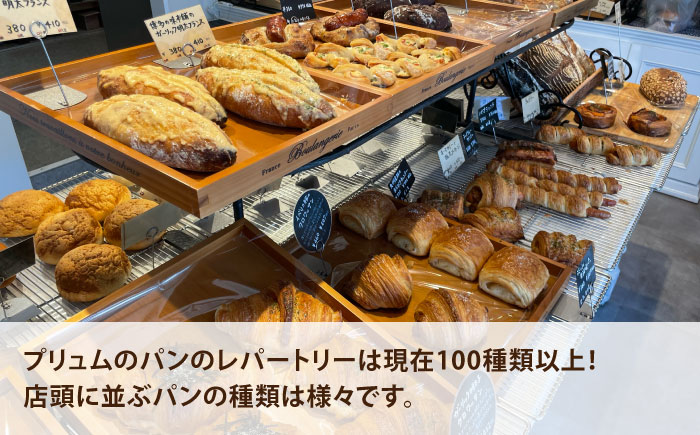 Plume パン（ランダム）詰め合わせセット＜博多の味本舗＞那珂川市 [GAE065]