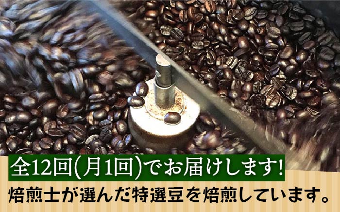 【全12回定期便】申込後に自家焙煎！魅惑のスペシャルティ コーヒー 4種セット【豆】1kg＜自家焙煎珈琲 猫屋カフェ＞那珂川市 飲み物 コーヒー 珈琲 コーヒー豆 [GAG015]