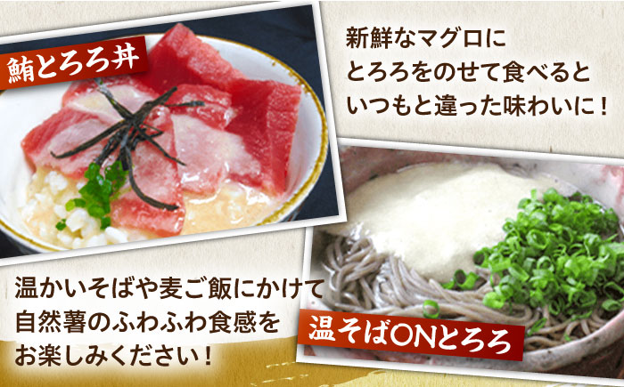 【年内発送】【味付け不要！本格「自然薯」麦とろ】自然薯 麦とろ セット（4人前）＜自然薯王国＞那珂川市 [GAH002]