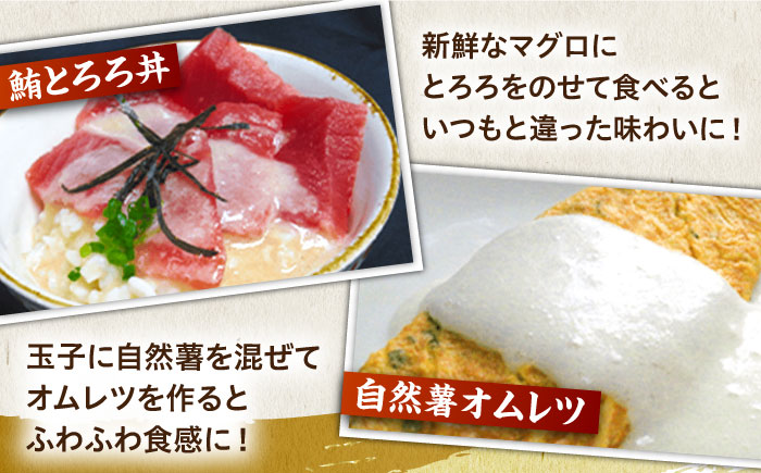 【全12回定期便】那珂川市産自然薯使用 自然薯 とろろ（醤油味）＜自然薯王国＞那珂川市 [GAH008]