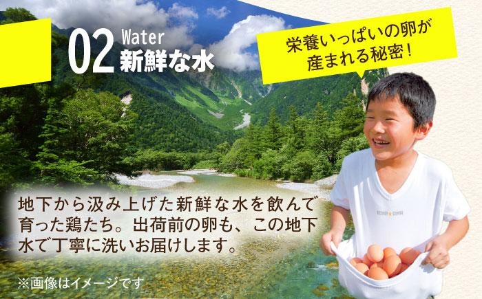 【全12回定期便】【TVで紹介！】鮮度ＡＡ級の世界最高ランク！ 金太郎卵 平飼い たまご 30個（6個×5パック）＜有限会社 フジノ香花園＞那珂川市 卵 タマゴ [GAM019]