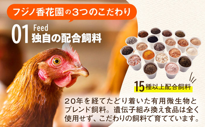 【究極の卵かけご飯セット】 平飼い 金太郎卵12個 藤の米2kg かけ醤油＜有限会社 フジノ香花園＞那珂川市 [GAM042]