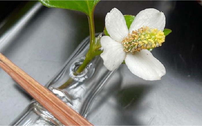 【ステンドグラスのある暮らし】花一輪 箸置き 5個セット＜ウェーブGグラス工房＞那珂川市 ステンドグラス 雑貨 インテリア [GAW021]