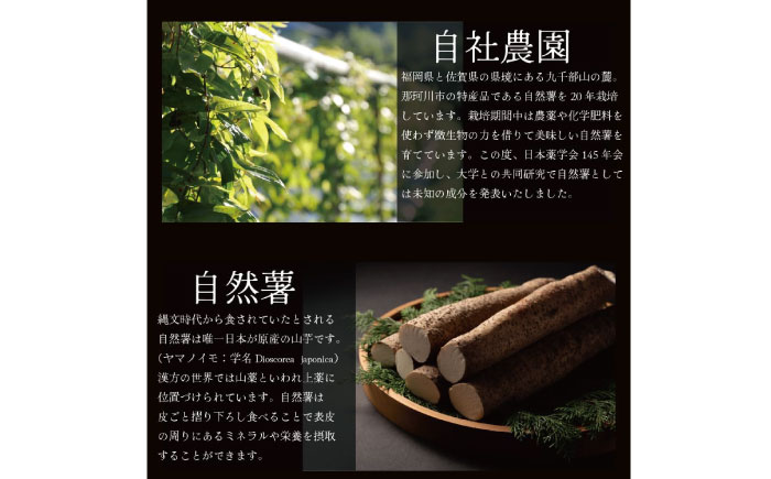 筥崎とろろ 自然薯のだしわりとろろ 計1kg（20食セット × 50g) 冷凍 個包装 無添加 業務用＜株式会社九千部＞ 那珂川市 [GAZ004]