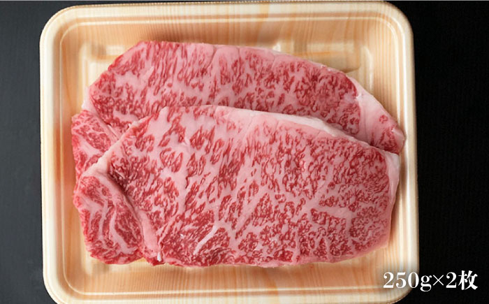 博多和牛 牛肉 サーロイン ステーキ 500g（250g×2）＜肉のくまもと屋＞ 那珂川市 [GBI002]