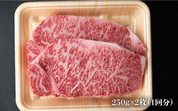 【全12回定期便】大満足！ 博多和牛 牛肉 サーロイン ステーキ 500g（250g×2）＜肉のくまもと屋＞ 那珂川市 [GBI035]