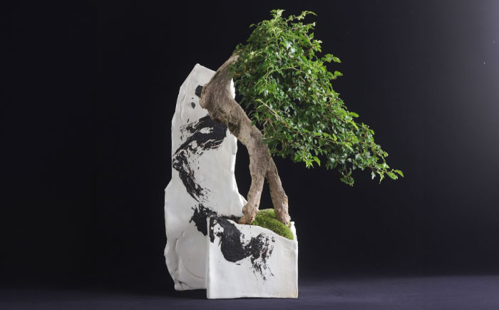 【モダン×盆栽】匂い楓 盆栽＜イマplants＞那珂川市 [GBU032]