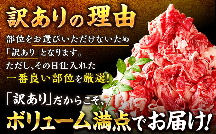 【たっぷり大容量！】博多和牛 牛肉 切り落とし 1kg（500g×2P）＜株式会社MEAT PLUS＞那珂川市 肉 牛肉 黒毛和牛 牛切り落とし [GBW001]
