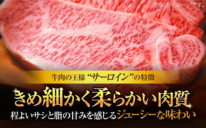 【溢れる肉汁と濃厚な旨味】和牛 サーロイン 1kg（250g×4枚）＜株式会社MEAT PLUS＞那珂川市 肉 牛肉 黒毛和牛 [GBW011]