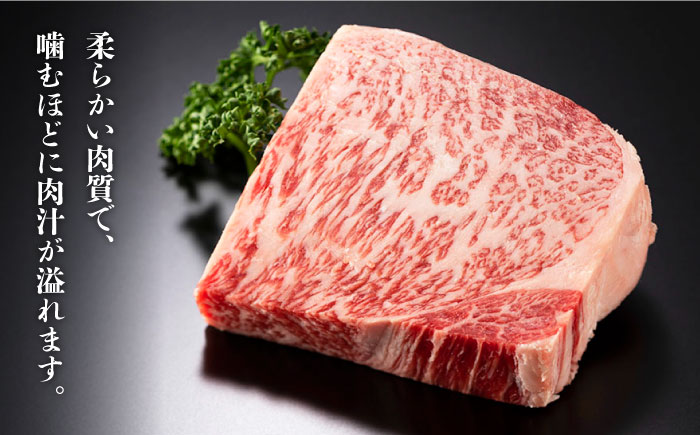 【訳あり】博多和牛 サーロイン ステーキ セット 5kg（250g×20枚）＜株式会社MEAT PLUS＞那珂川市 肉 牛肉 黒毛和牛 [GBW053]