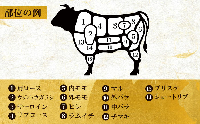 【一頭丸ごとオーダー！】 博多和牛 一頭食べ尽くしセット＜株式会社MEAT PLUS＞那珂川市 肉 牛肉 黒毛和牛 [GBW138]