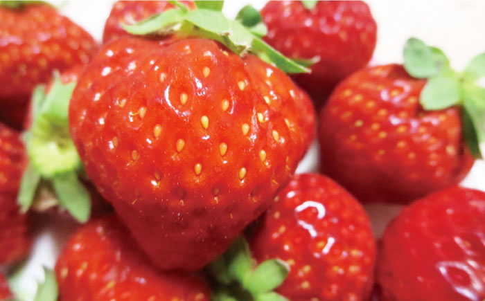 【2026年2月以降発送】先行予約！ブランドいちご「あまおう」 約1,080g（約270g×4パック）＜一般社団法人地域商社ふるさぽ＞那珂川市 あまおう [GBX001]