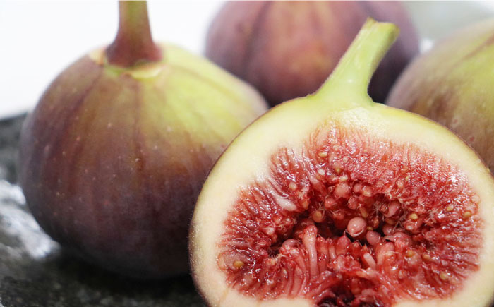 【2026年9月以降発送】福岡県オリジナル品種  とよみつひめ 約1.2kg＜一般社団法人地域商社ふるさぽ＞那珂川市 [GBX026]