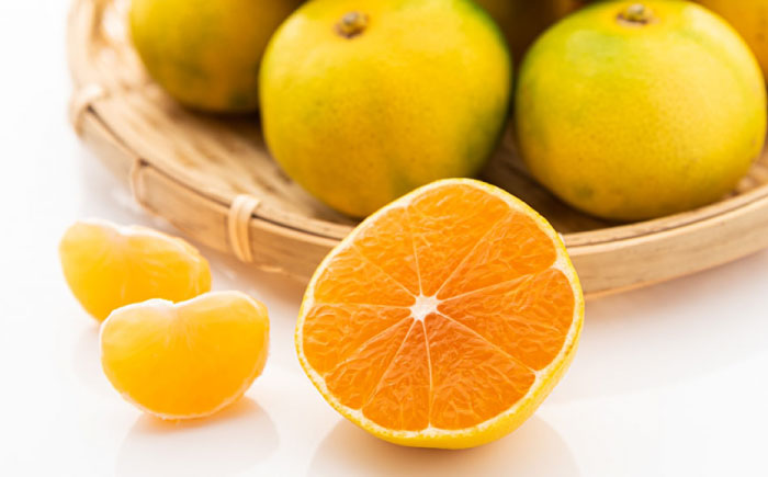 【2026年9月以降発送】産地直送！福岡県オリジナル品種 みかん 「早味かん」＜一般社団法人地域商社ふるさぽ＞那珂川市 [GBX053]