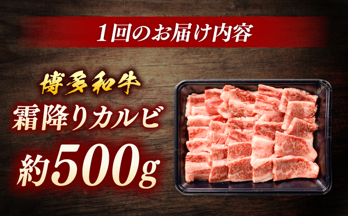 【全5回定期便】博多和牛　霜降りカルビ　約500ｇ×5回＜一般社団法人地域商社ふるさぽ＞ 那珂川市 [GBX121]