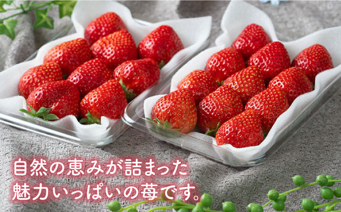 【12月上旬より発送】先行予約！福岡産【冬】 あまおう 2パック＜南国フルーツ株式会社＞那珂川市 [GCD011]