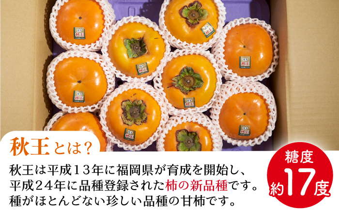 【10月中旬より発送】先行予約 福岡産ブランド 柿 秋王 約3kg（8-12玉）＜南国フルーツ株式会社＞那珂川市 [GCD022]