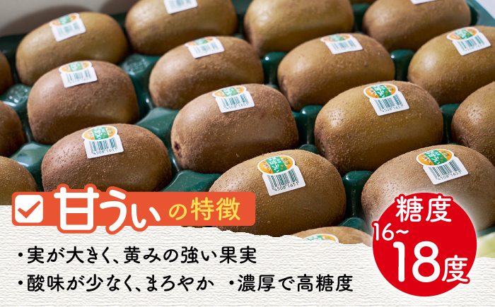 【10月下旬より発送】先行予約 福岡産ブランド キウイ 甘うぃ 約1.5kg（12-15玉）＜南国フルーツ株式会社＞那珂川市 [GCD025]